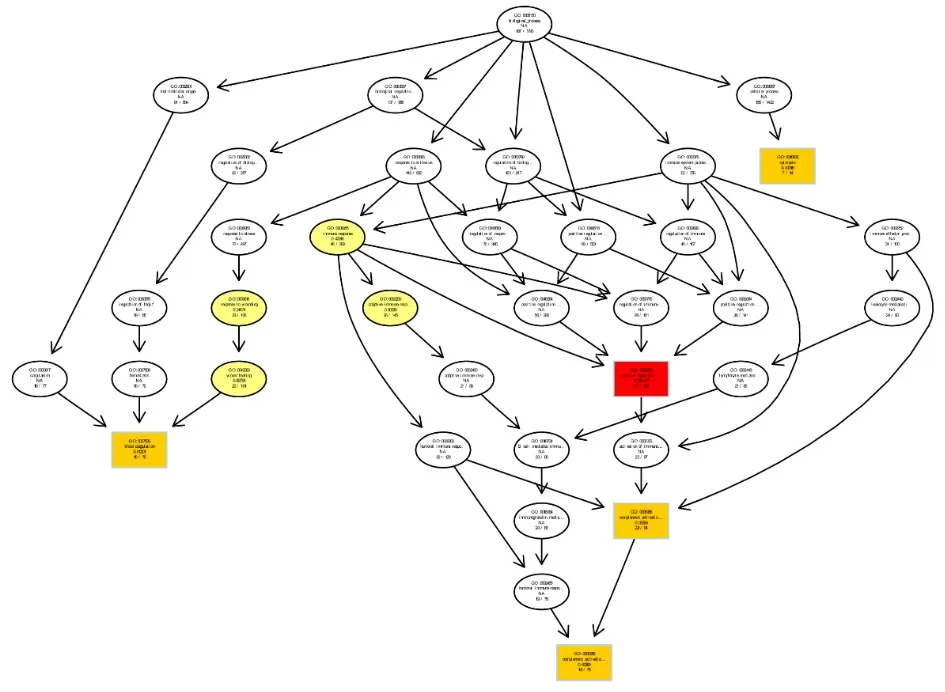 Directed Acyclic Graph (DAG) of Enriched GO Terms